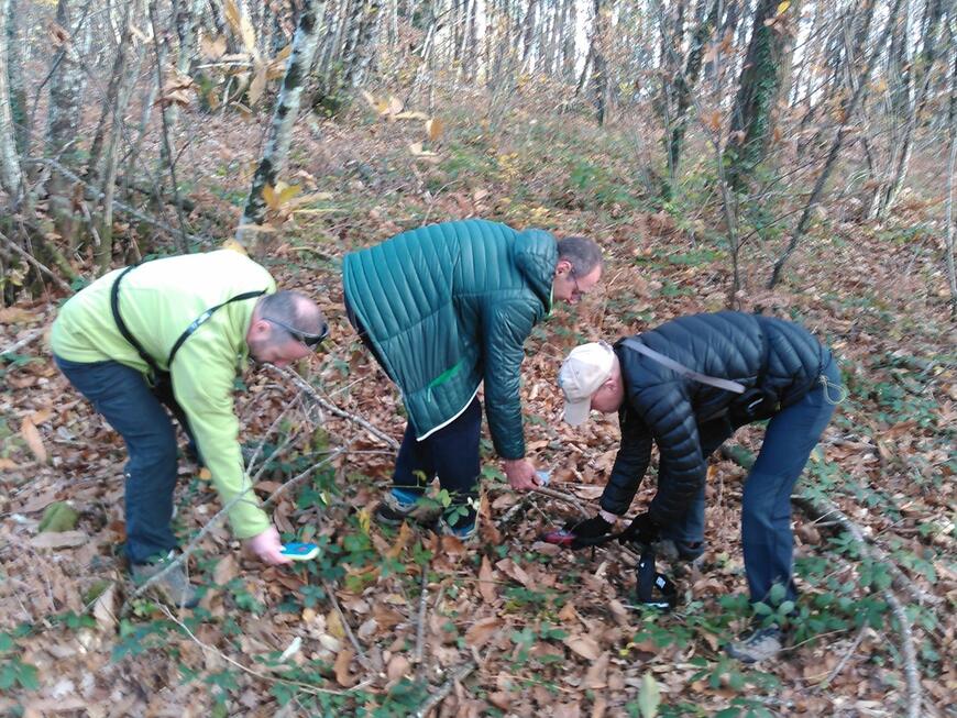 Recherche de girolles ??? Recherche de girolles ???