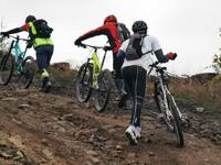 Sacré coup de cul Sacré coup de cul