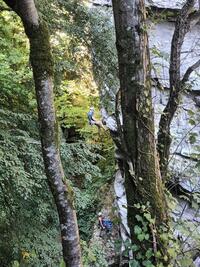 Raphael 6c Raphael 6c